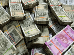 murgi palan se abhishekh dvara 50000 ka munafa